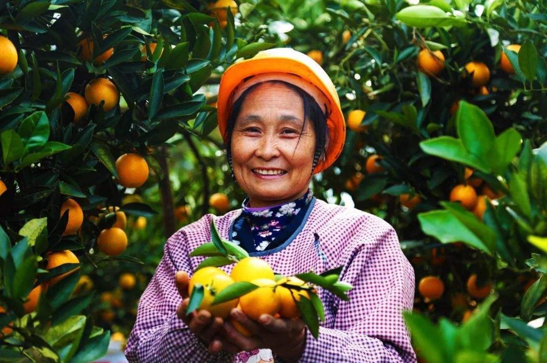 湖南橙子哪里产的最好吃,橙子怎么挑才最甜最好吃