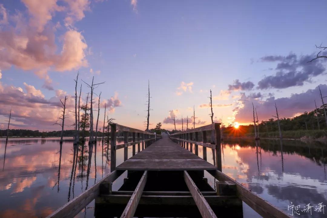 摄影初学者预算两千买什么相机,家用和旅游摄影买什么相机