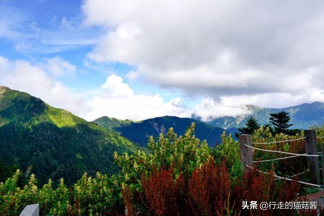 台湾清境农场照片,清境农场青青草原