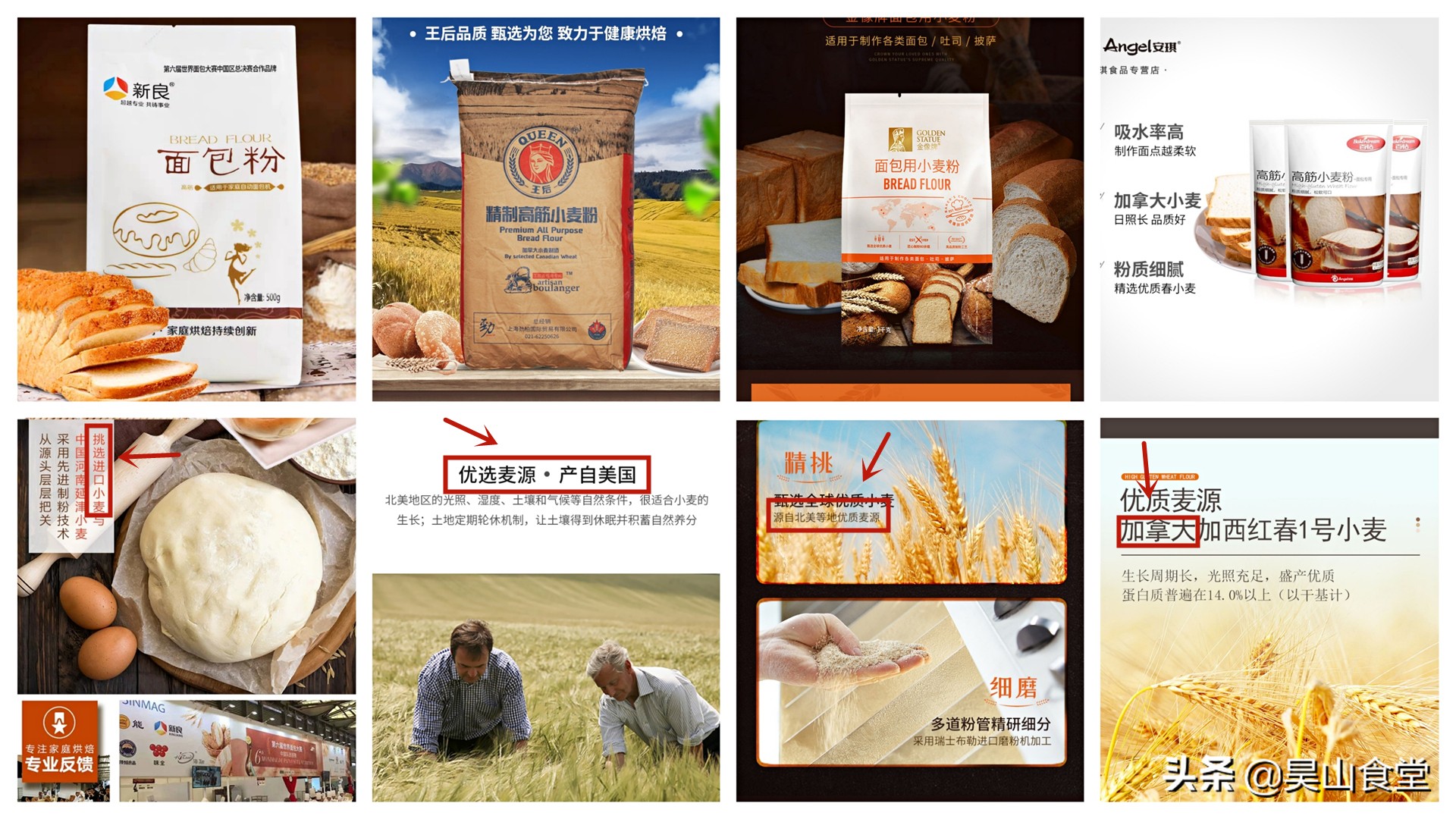 为什么我做的面包像饼干,为什么我做的面包像发糕