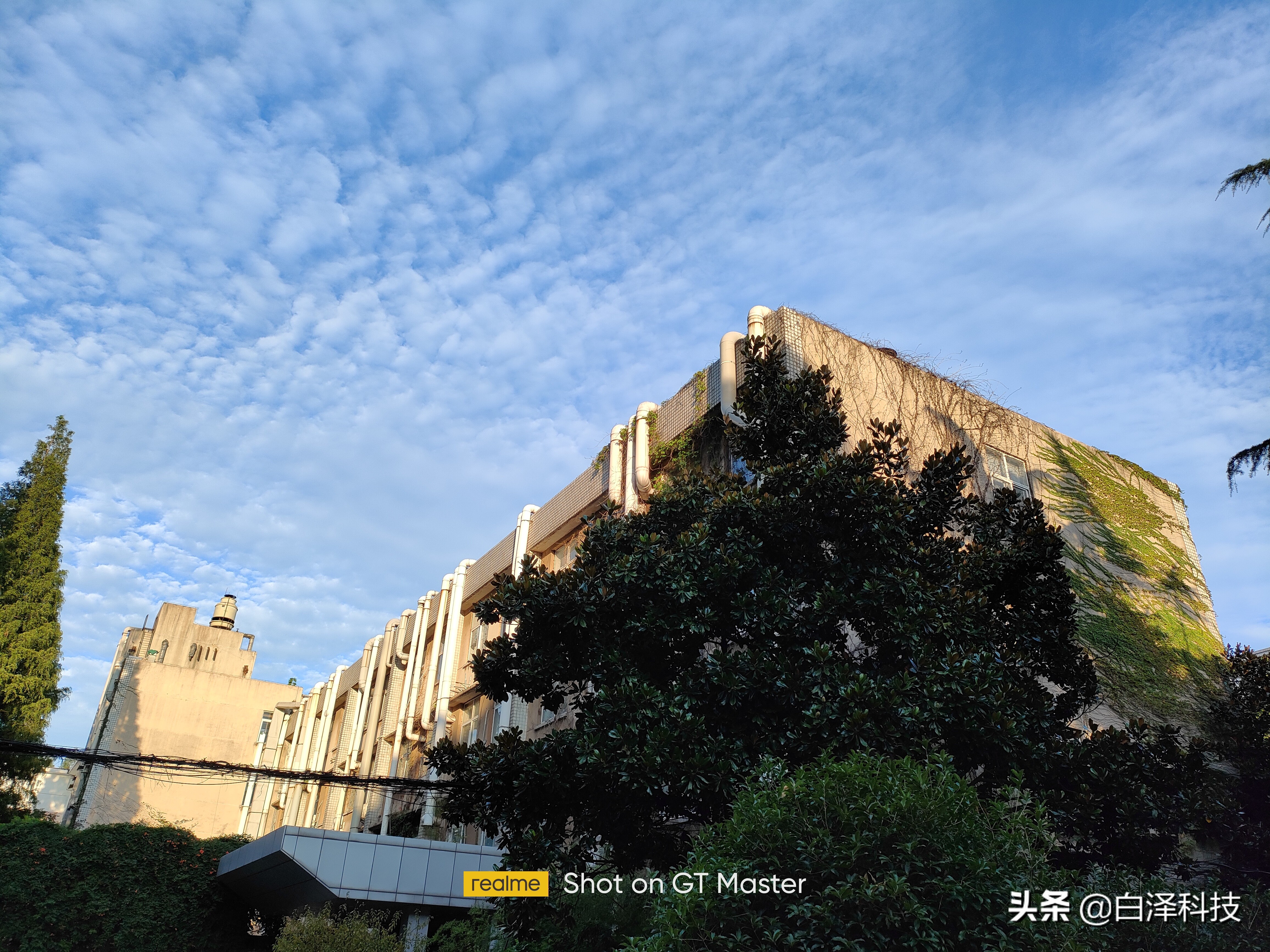 realmegt大师探索版值得入手吗,realmegt大师探索版夜景拍照评测