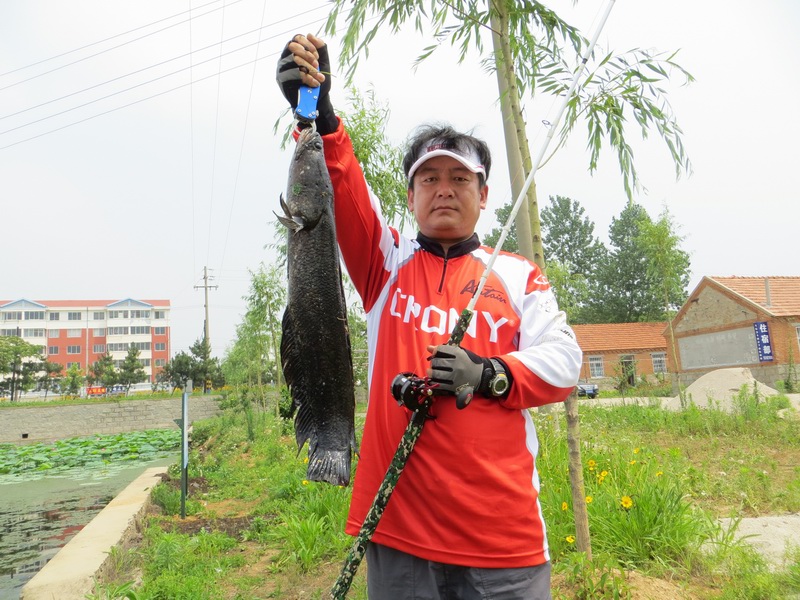 路亚进阶,路亚雷强新手入门装备