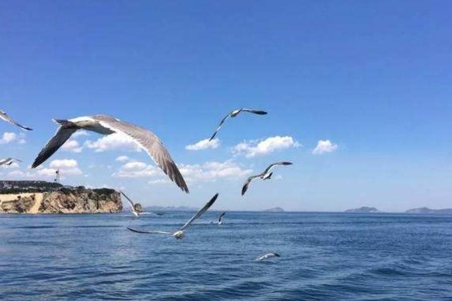 大连市东海公园,大连东海公园景区