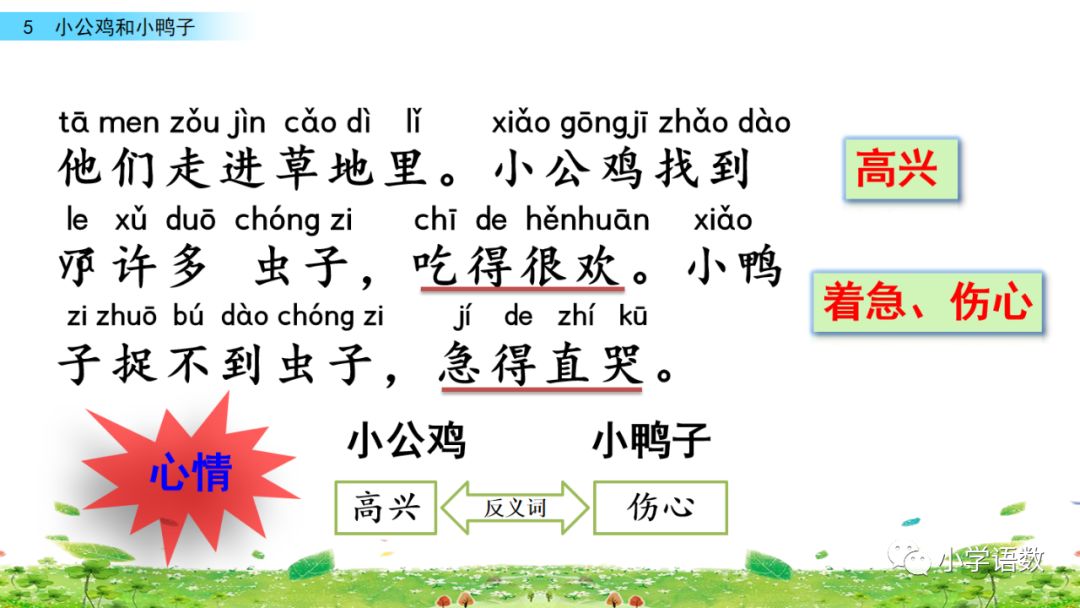 小公鸡和小鸭子一年级下册视频,一年级下语文小公鸡和小鸭子讲解