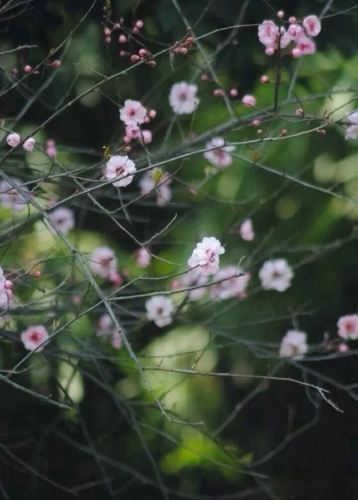 宁波踏青必去十大景点,宁波踏青景点介绍视频
