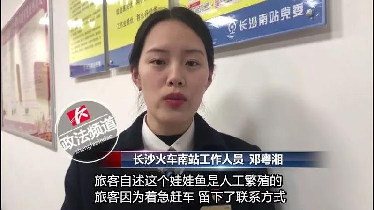 男子带鸟进站被拒后续,男子带鸟进站闯安检