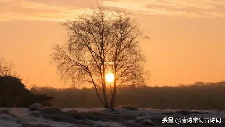 诗词夕阳西下断肠人在天涯,夕阳西下断肠人在天涯诗句鉴赏