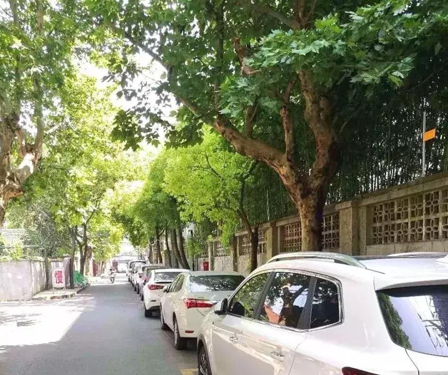 打造私人会所庭院,300平方园林式露天会所