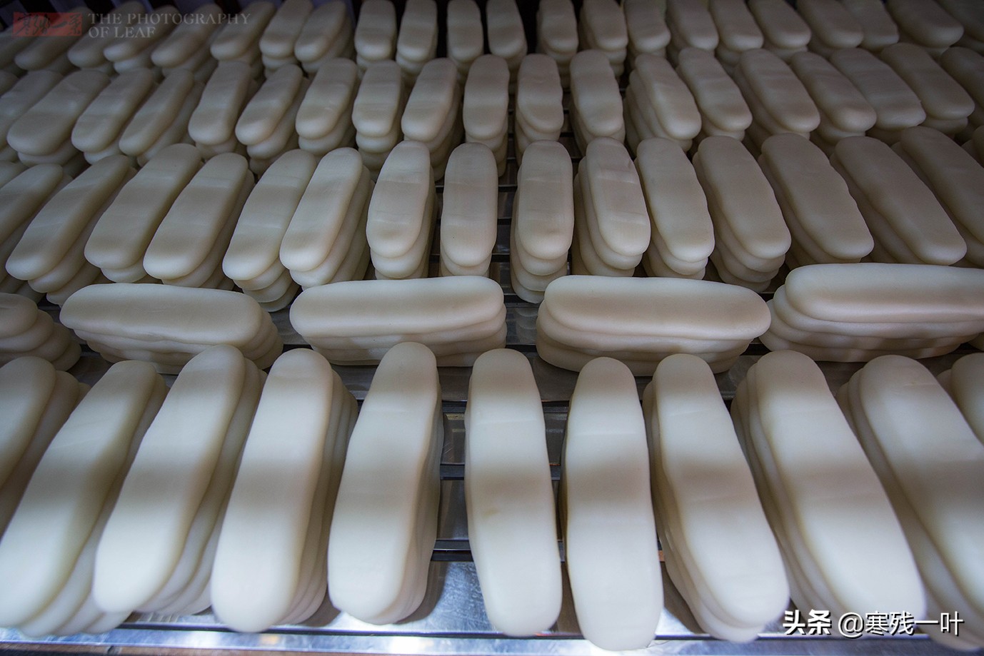 宁波不收门票的景区,宁波景区小吃街有哪些地方