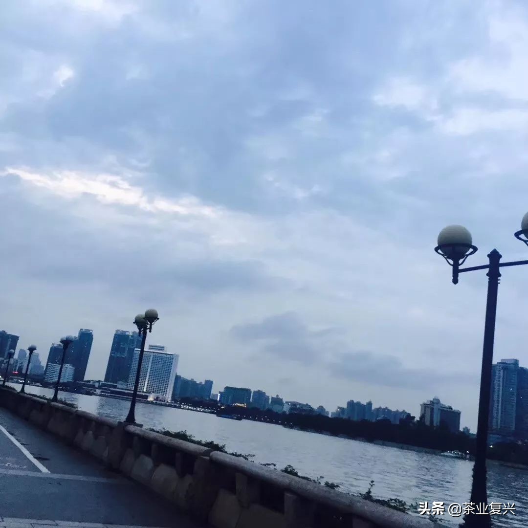 芳村茶市场,芳村茶叶市场都是金融茶吗