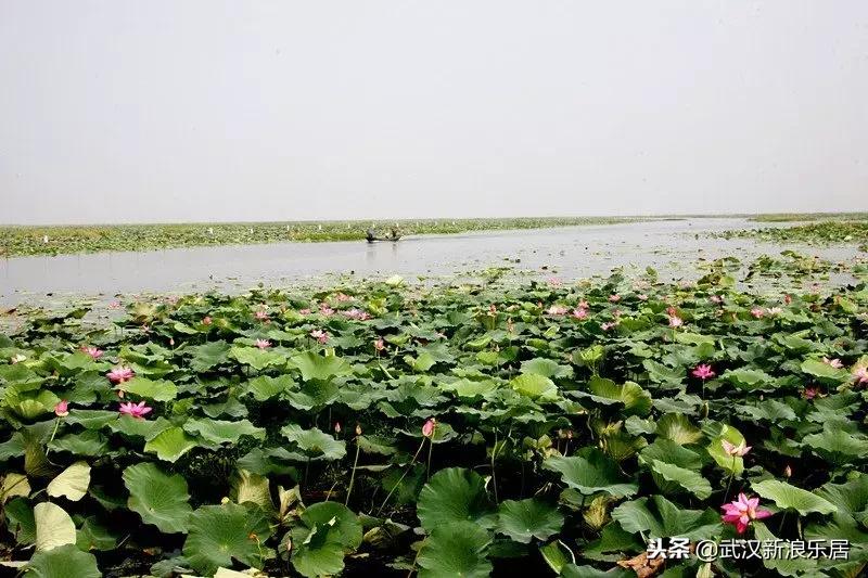 湖北马上要崛起的县,湖北应该重点发展的4个县市