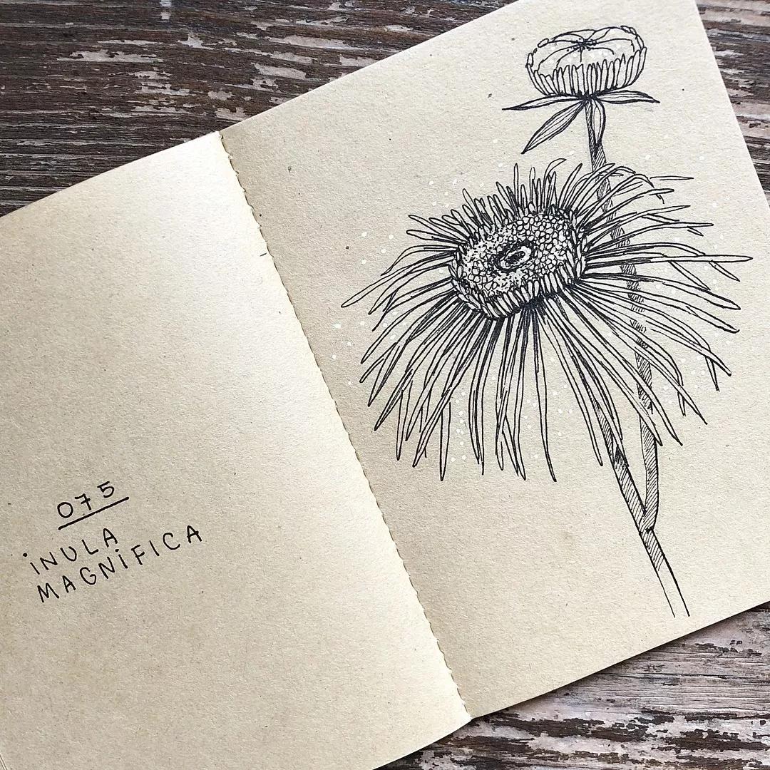 一看就懂的针管简笔画,针管笔入门手绘1000例临摹图