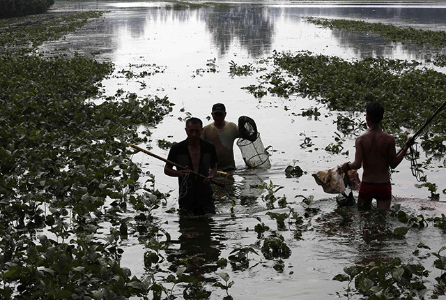 连续暴雨天鱼塘的管理,下暴雨后鱼塘有泡沫怎样处理