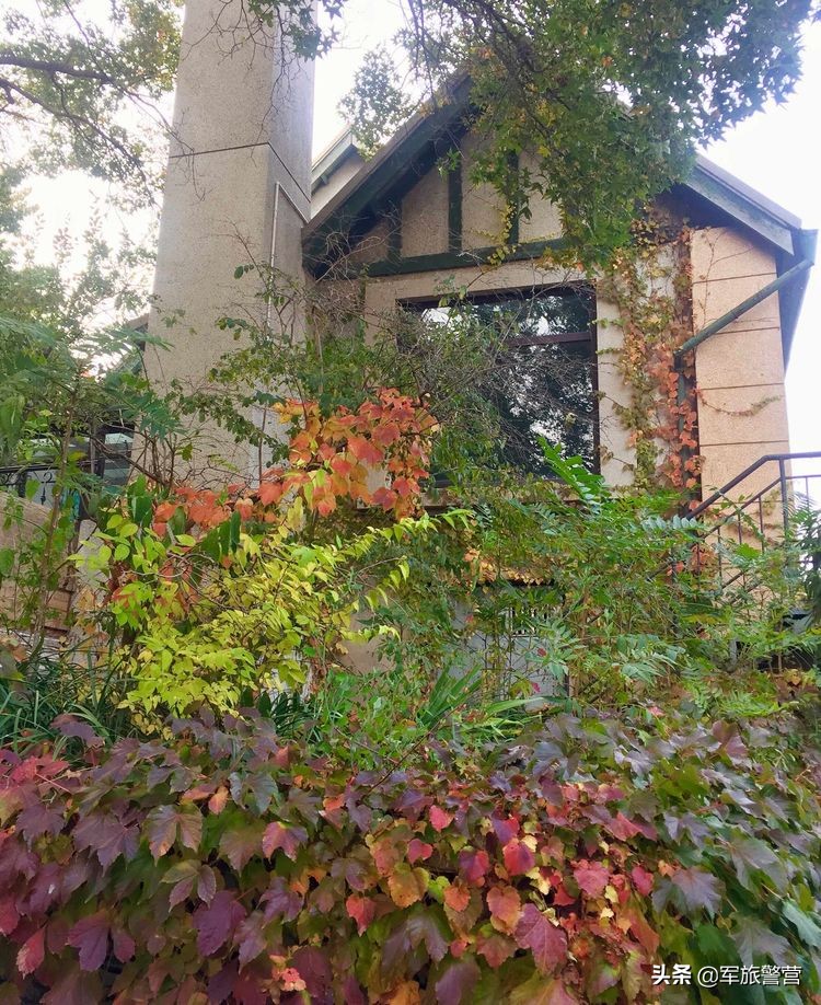 大连市八七疗养院的故事,大连八七疗养院