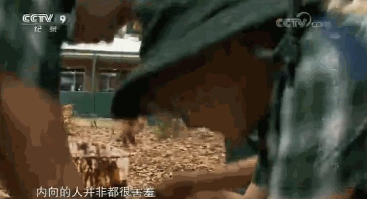 3岁看大7岁看老并非迷信,3岁看老7岁看大如何理解