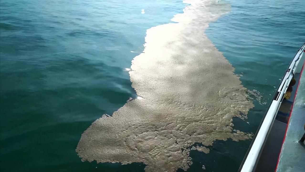 下潜海底1万米会看到什么,下潜海底10000米你将看到什么