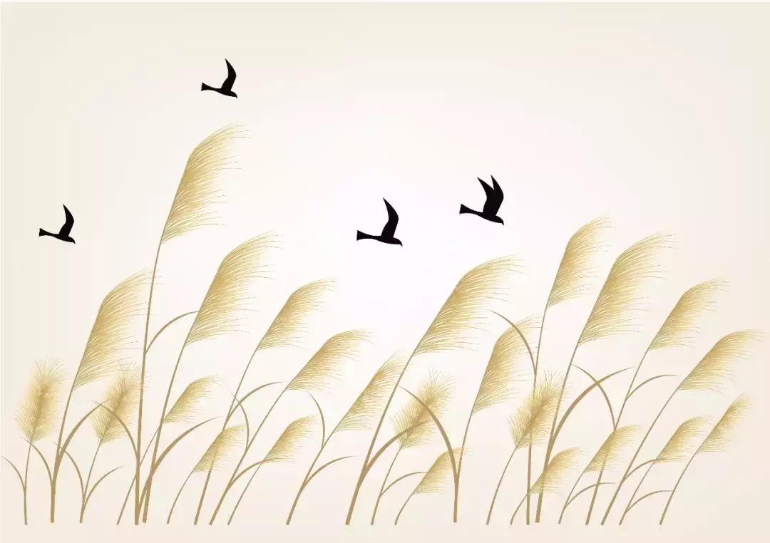 诗经有蒹葭苍苍白露为霜的的章节,诗经里的蒹葭苍苍白露为霜在哪里