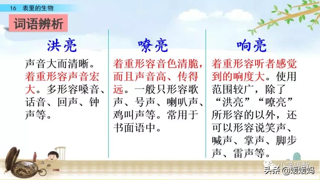 六年级下册语文表里的生物朗诵,六年级下册表里的生物小练笔400字
