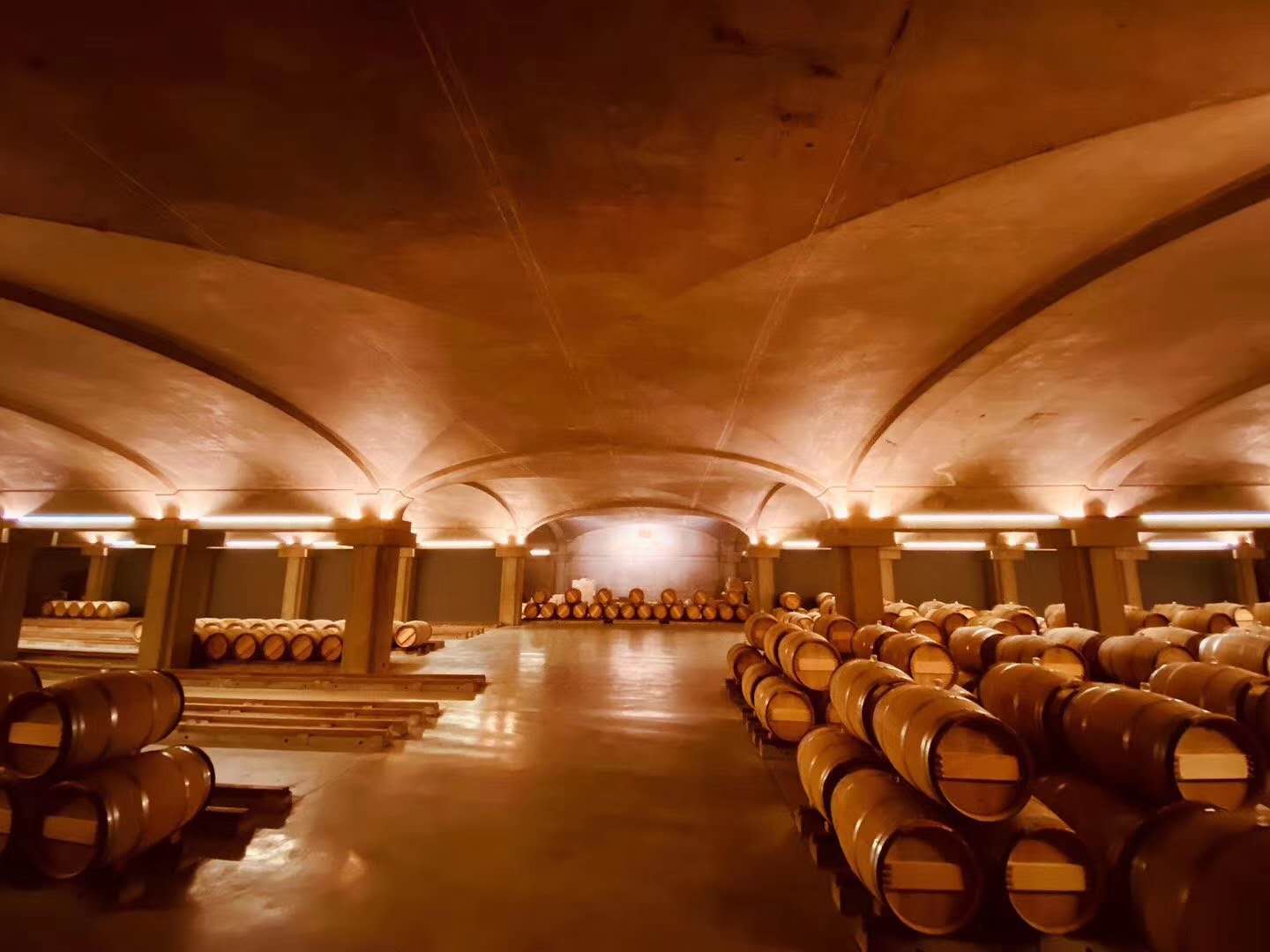 空腹喝葡萄酒有助睡眠吗,为什么喝葡萄酒有助睡眠