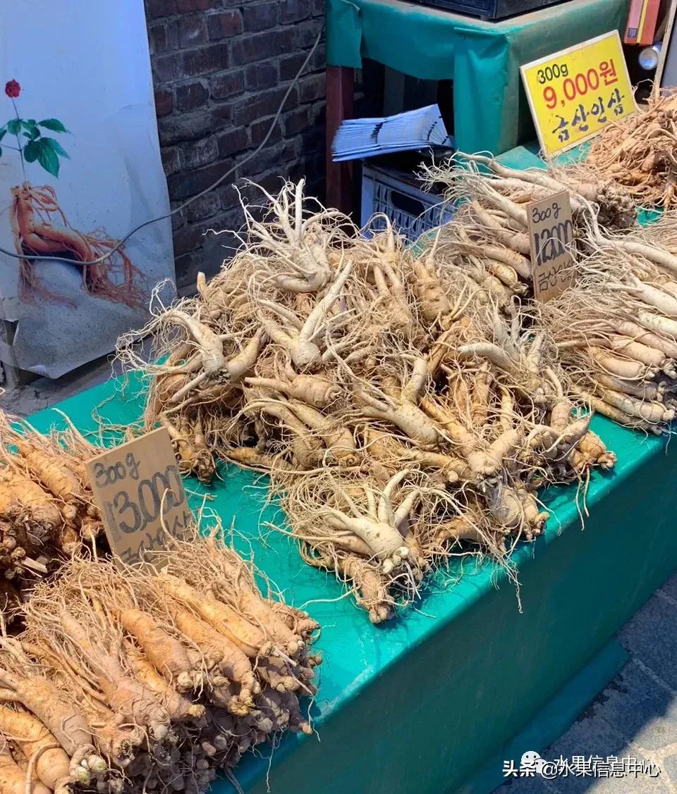 韩国水果批发市场进货渠道,韩国首尔最大的水果批发市场