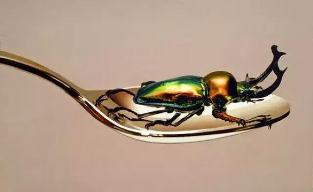 45岁韩国大叔,韩国45岁大叔