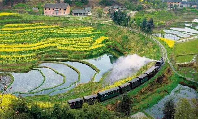 太美了开往春天的列车,这些开往春天的列车简直美呆了