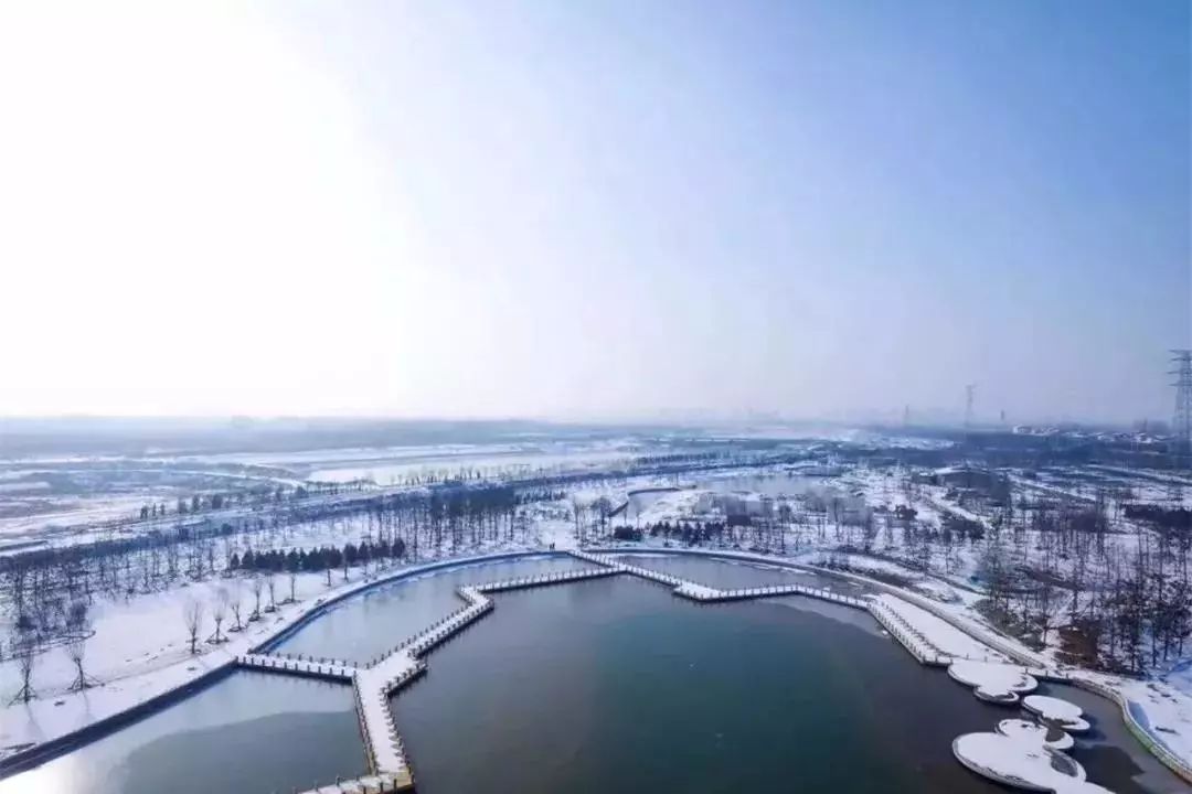 请回答郑州青年,请回答1988完整视频