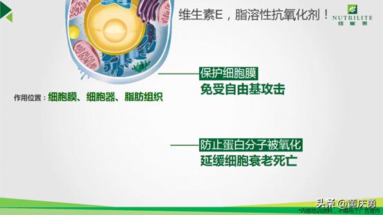 胡萝卜素维生素c,维生素抗衰老三剑客