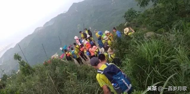 有趣的户外集体游戏幼儿园,适合小朋友玩的户外游戏趣味