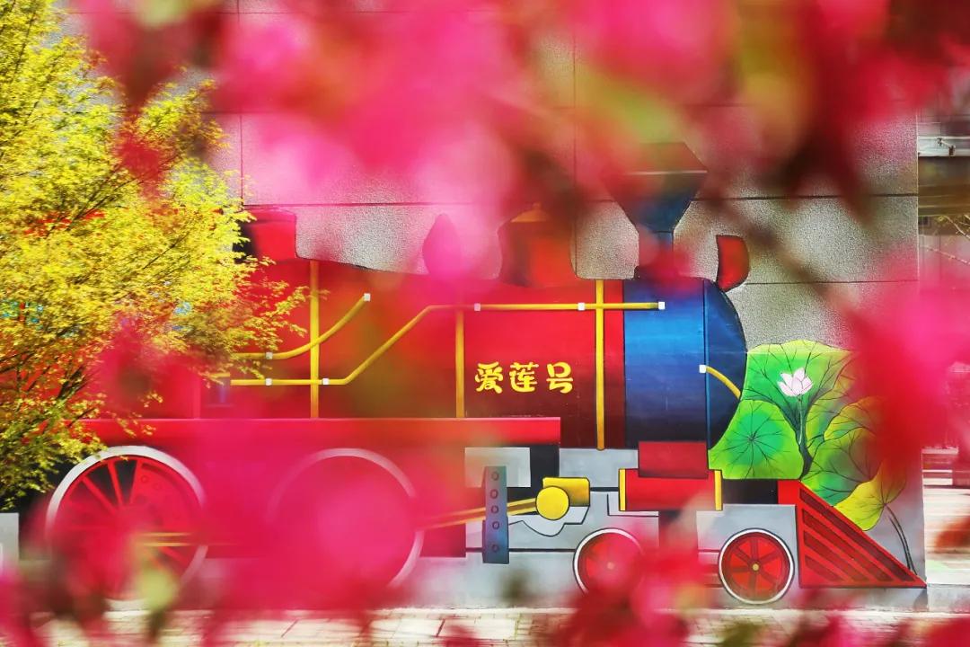 南京这所小学“弯道超车”，做了什么？