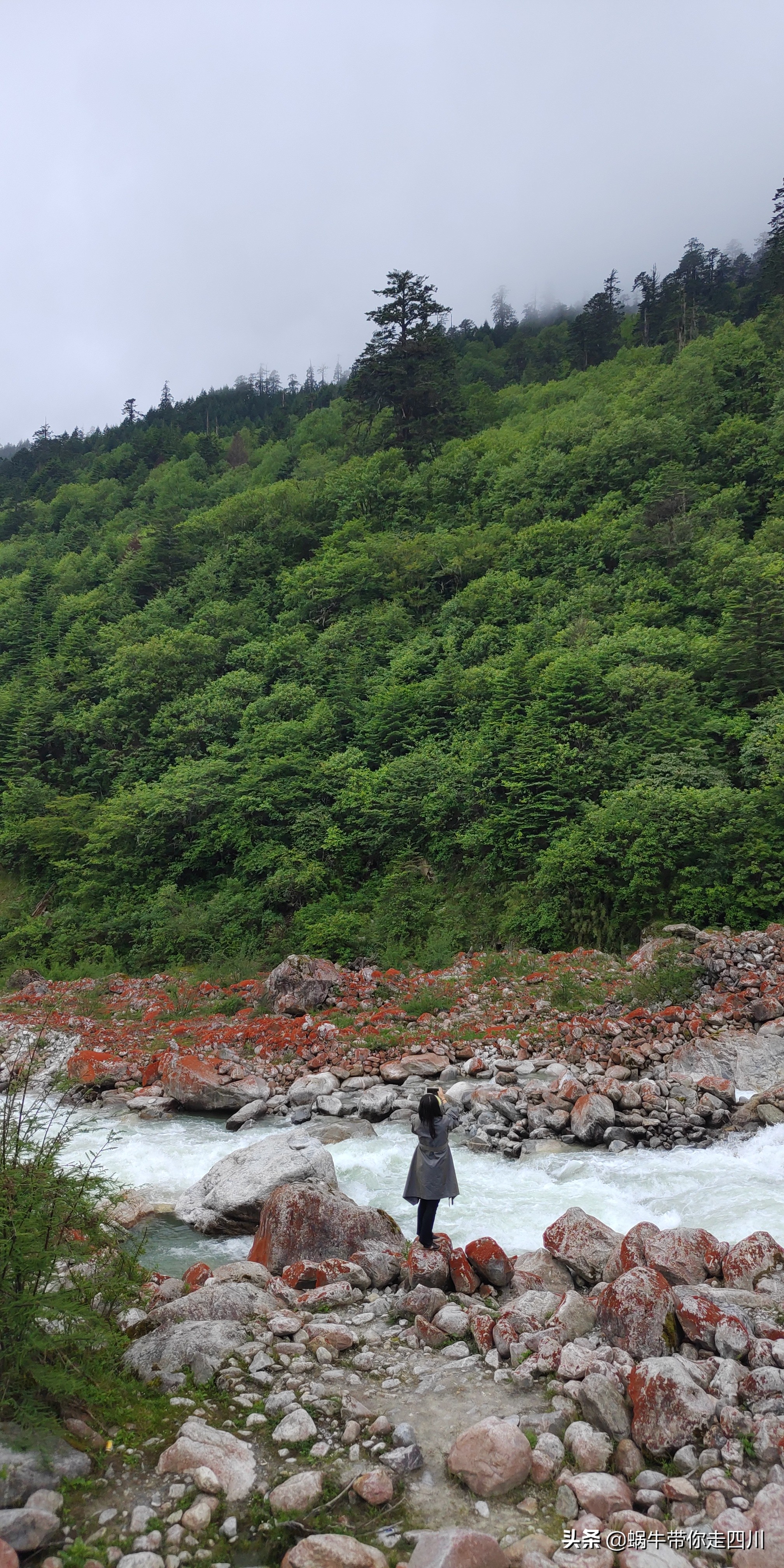 四川成都一家四口骑行游西藏,成都一家三口八日游