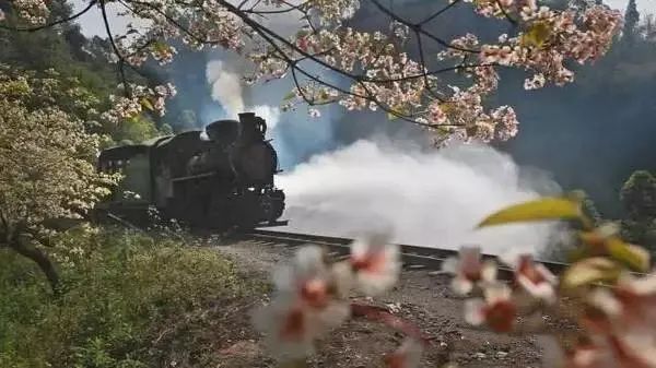 走！出发去犍为！