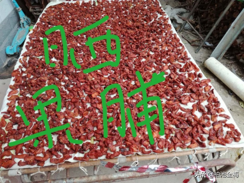 找到了情趣找到了生活