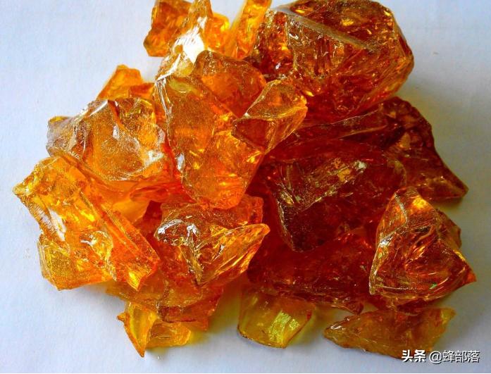 蜜蜂不产蜂蜜的技巧,蜜蜂怎么光采蜜不进粉