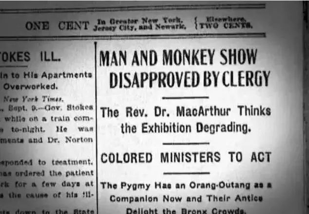 人类观光动物园,人类去动物园的迷惑行为