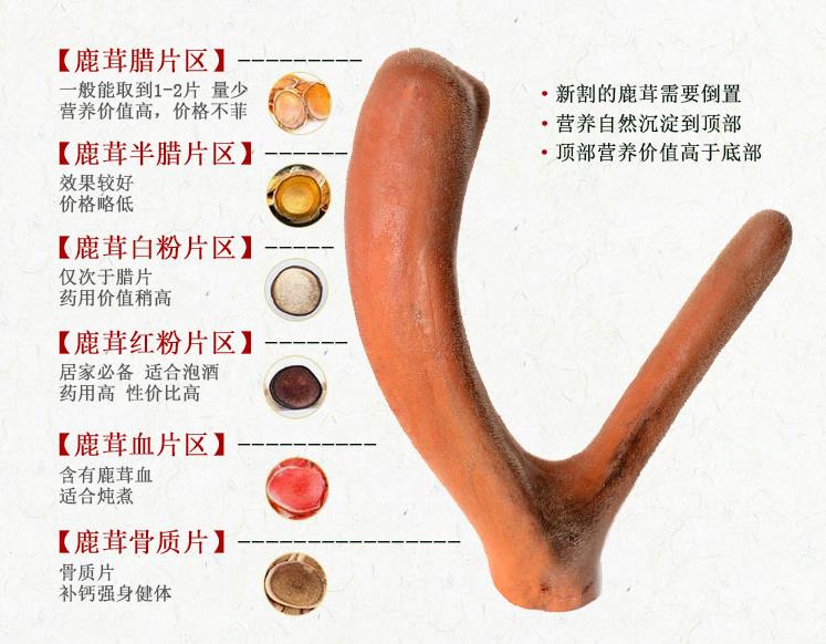 鹿茸片哪种鹿的好,鹿茸蜡片选什么品牌
