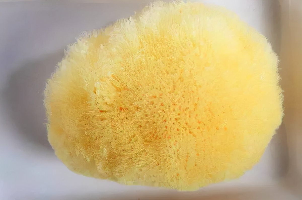 洗澡神器分享合集,目前最好用的洗浴神器