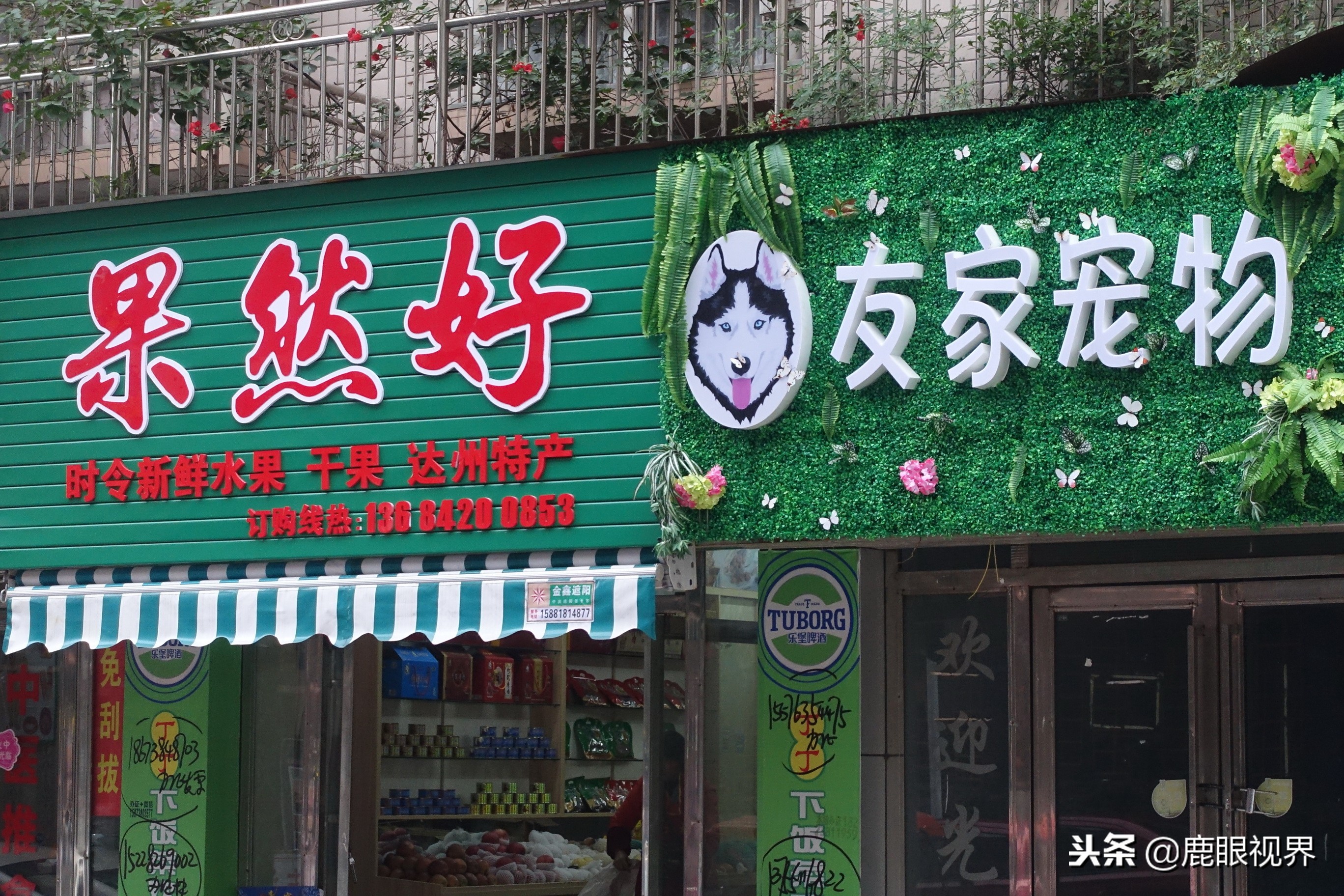 鹿眼视界多少钱一个,鹿眼视界店招原版