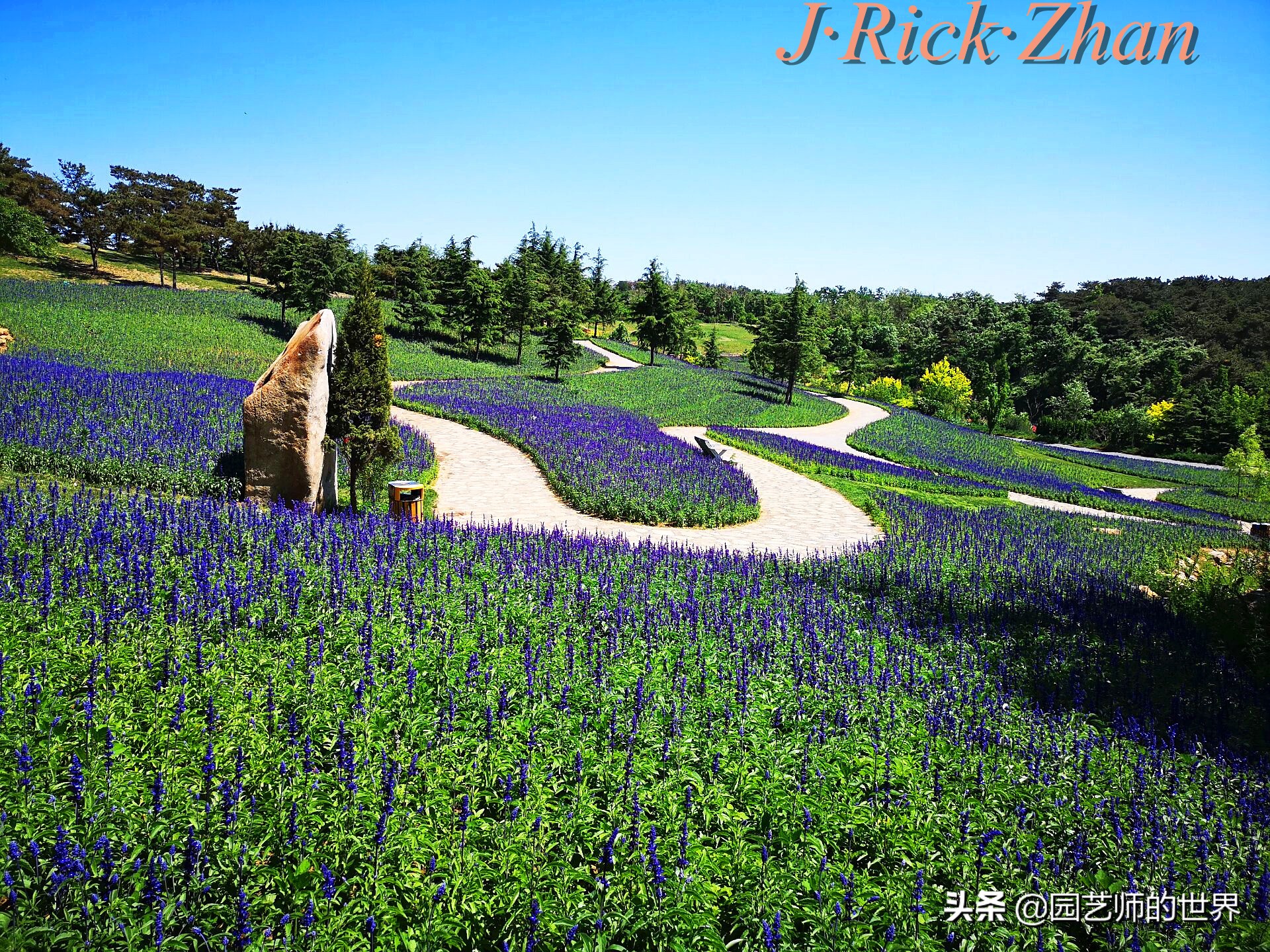 值得参观的国内优秀花园之品鉴（上篇）