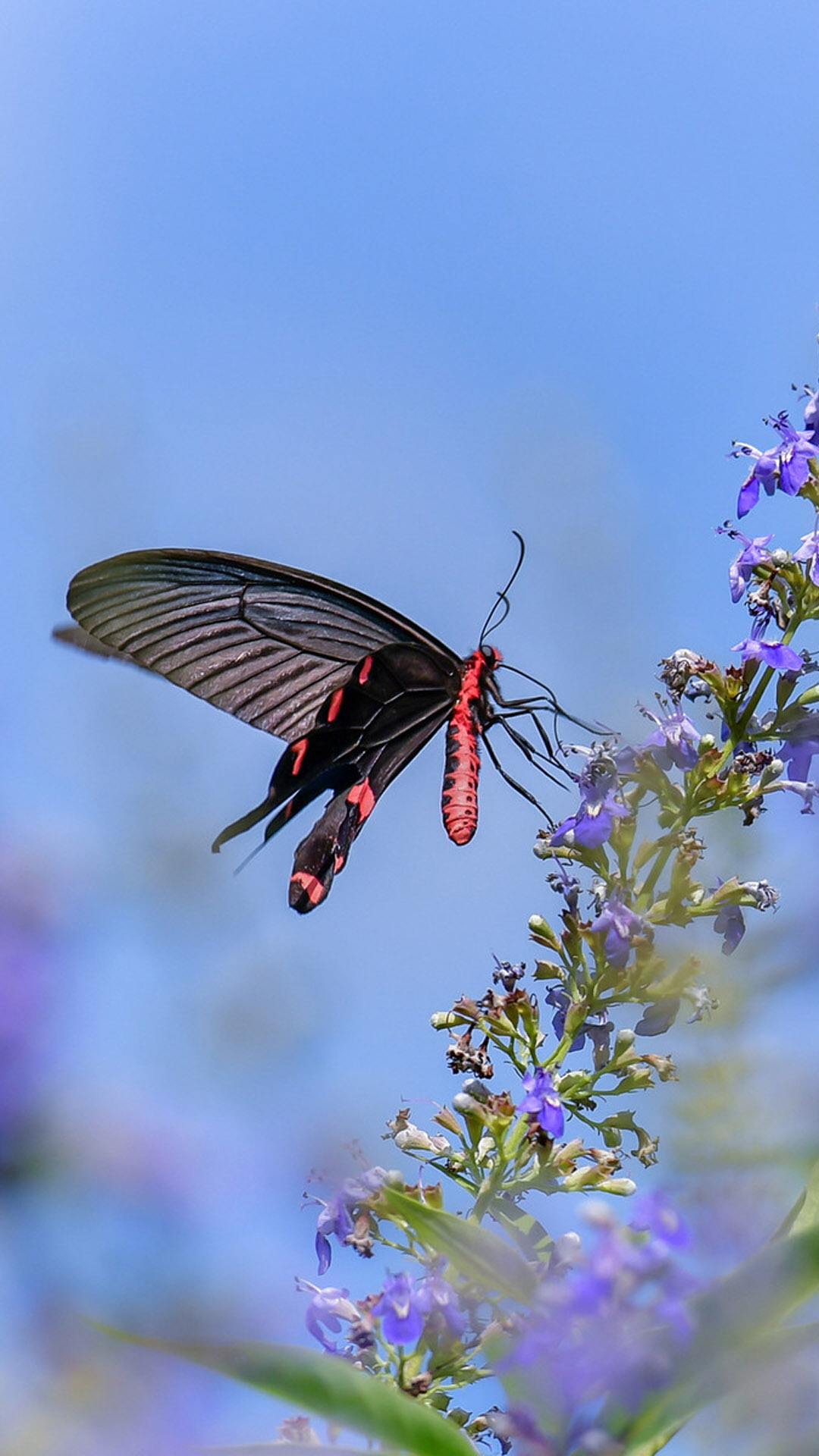 抗生素不良反应案例,抗生素副作用几时可以消除