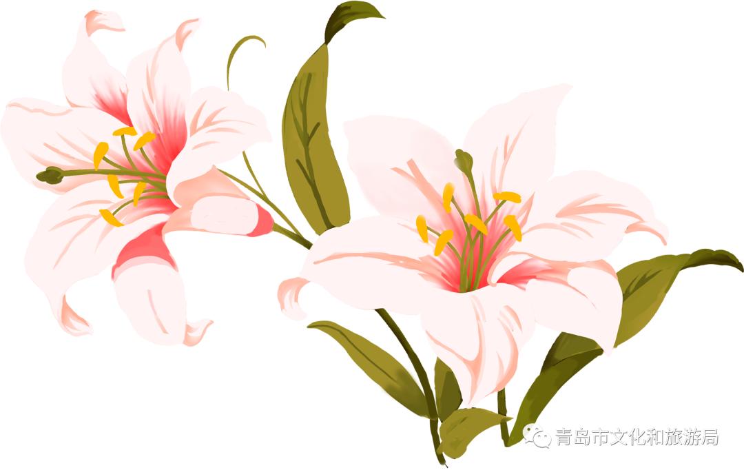 识花赏花学知识,赏花识花学知识