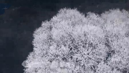 雾凇之美宛若仙境,连云港花果山雾凇美得像仙境