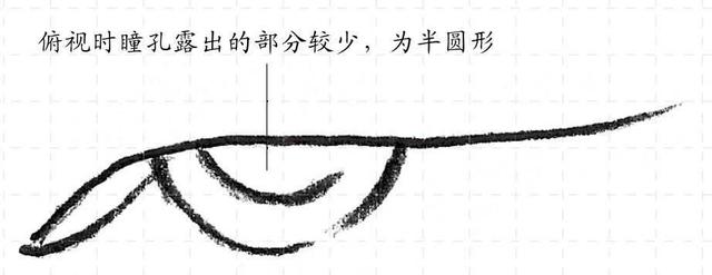 最简单的眼睛画法教程,零基础画画眼睛教程图片