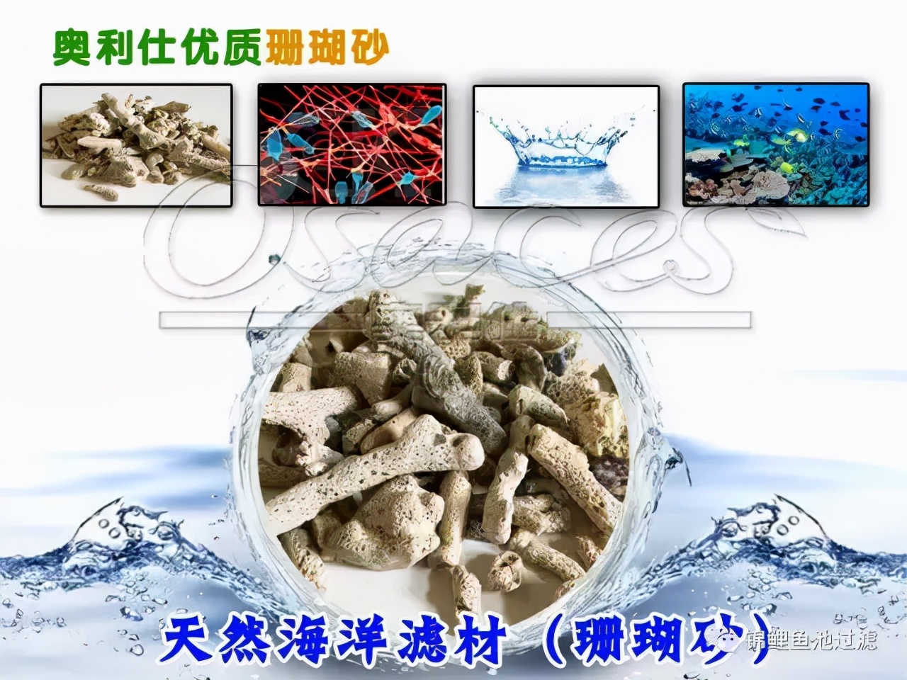 养锦鲤用过滤桶过滤系统,锦鲤鱼池沼泽过滤与生物过滤