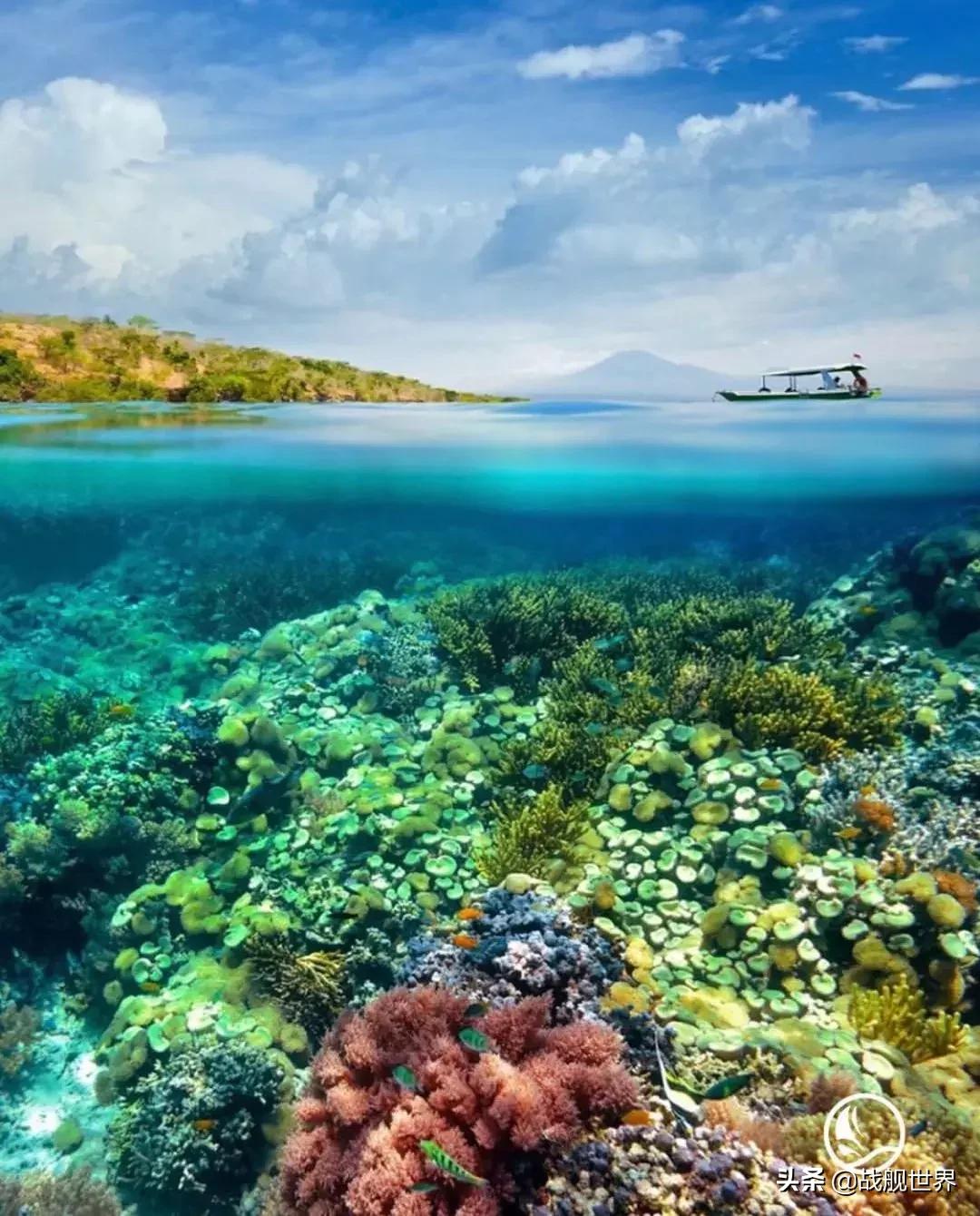 珊瑚海战役列克星敦,列克星敦珊瑚海