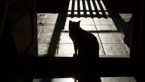 澳洲华人快递事件,澳洲最大华人快递事件