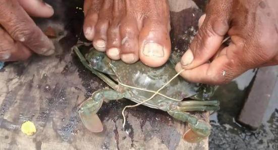 看看印度人是怎么吃方便面的,看看印度人是怎么吃的