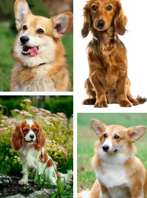 俄罗斯最著名的十大雕塑是,俄罗斯最著名的十大建筑物