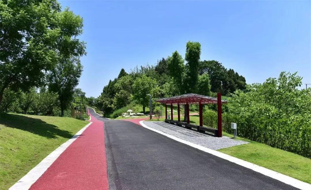 成都适合20人一日吃玩地方推荐,成都周边必打卡人间仙境毕棚沟