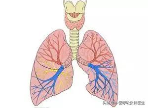 间质性肺炎吃什么中成药最见效,风湿性间质性肺炎病因
